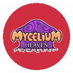 Mycelium icon 2